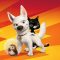 Bolt: Un perro fuera de serie (2008)